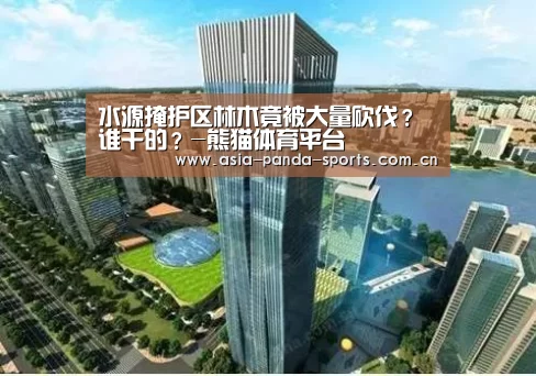 熊猫体育官网