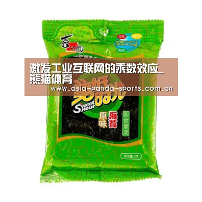 激发工业互联网的乘数效应_熊猫体育(图1) 熊猫体育官网