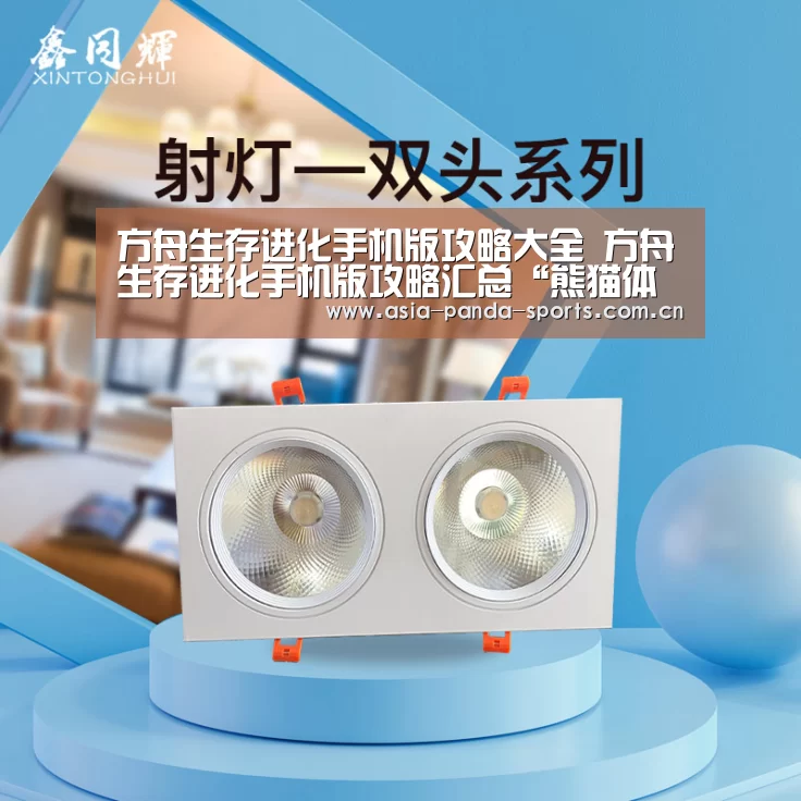 熊猫体育官网