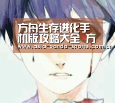 熊猫体育官网