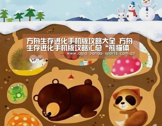熊猫体育