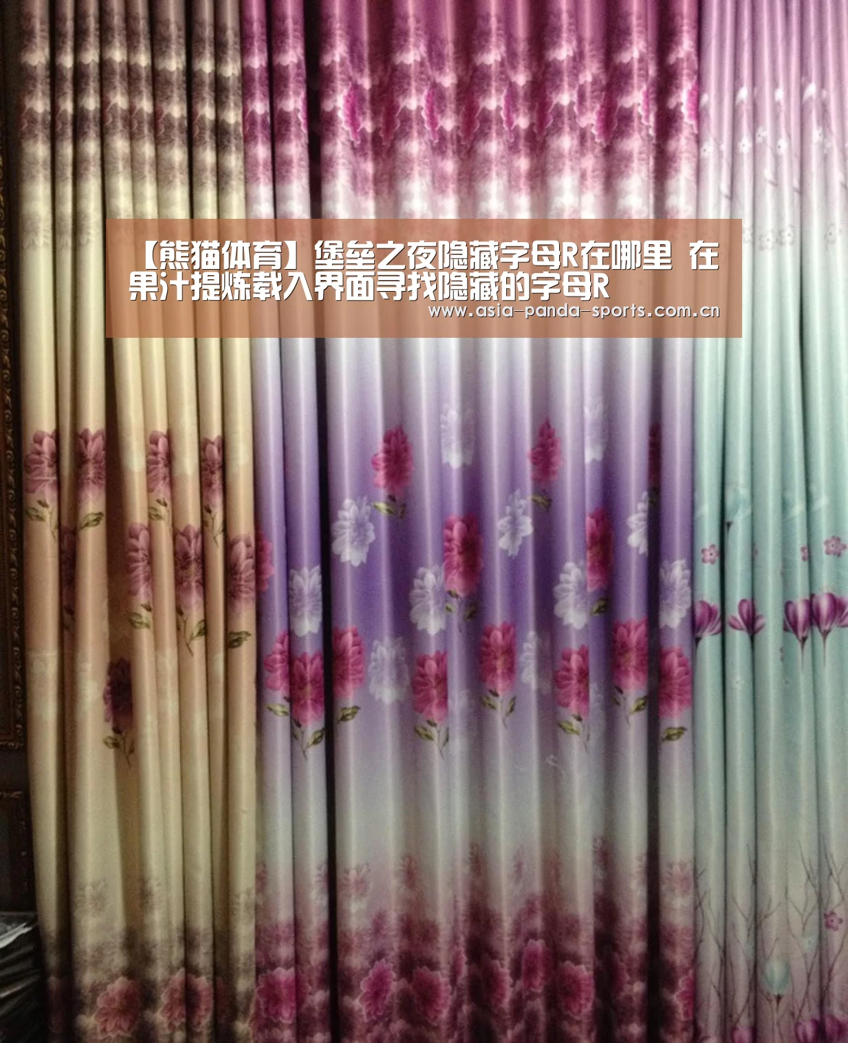 熊猫体育官网