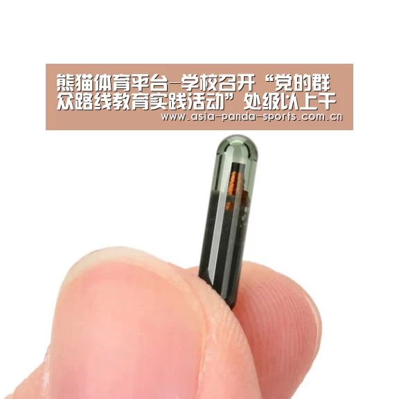熊猫体育官网